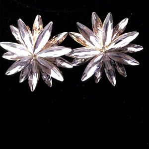 Rose Gold Blush Crystal Floral Burst Earrings